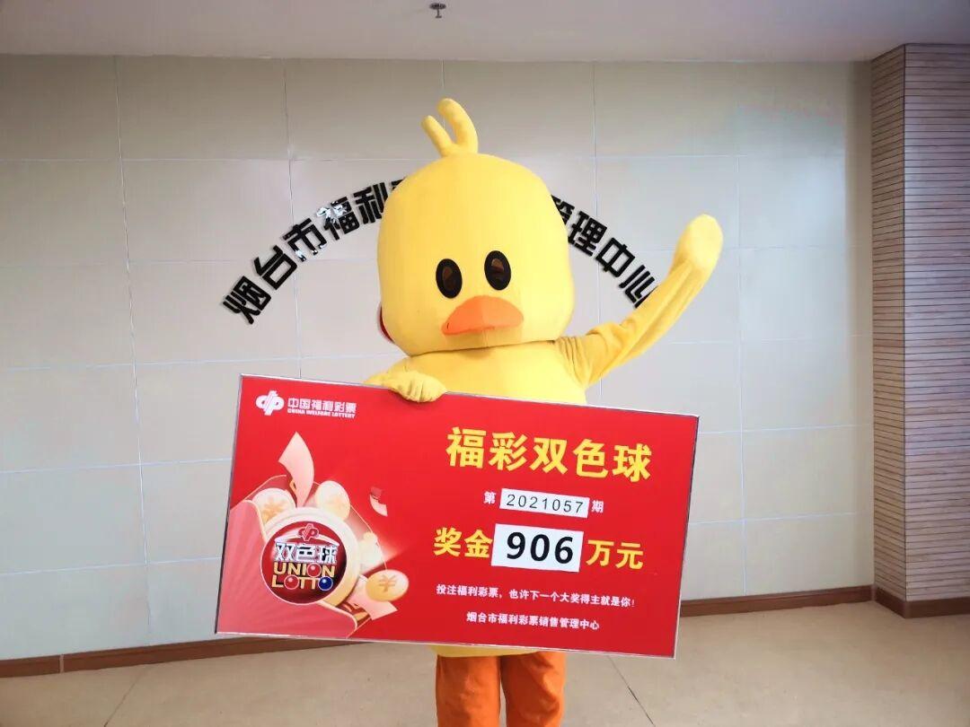 今日福彩开奖查询，揭秘幸运的瞬间与理性购彩的智慧