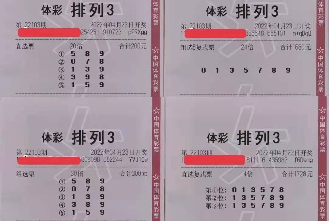 拾柴排列五，数字游戏的智慧与乐趣