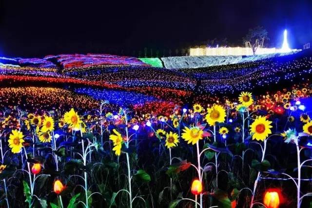 探索中国福利彩票双色球第33期的神秘之旅