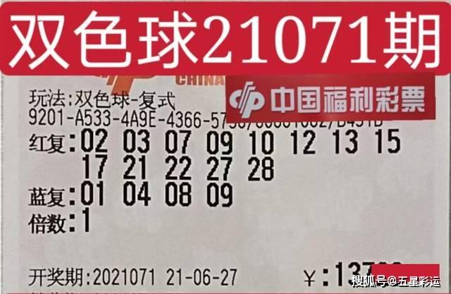2011年双色球61期开奖结果，梦想与现实的交汇