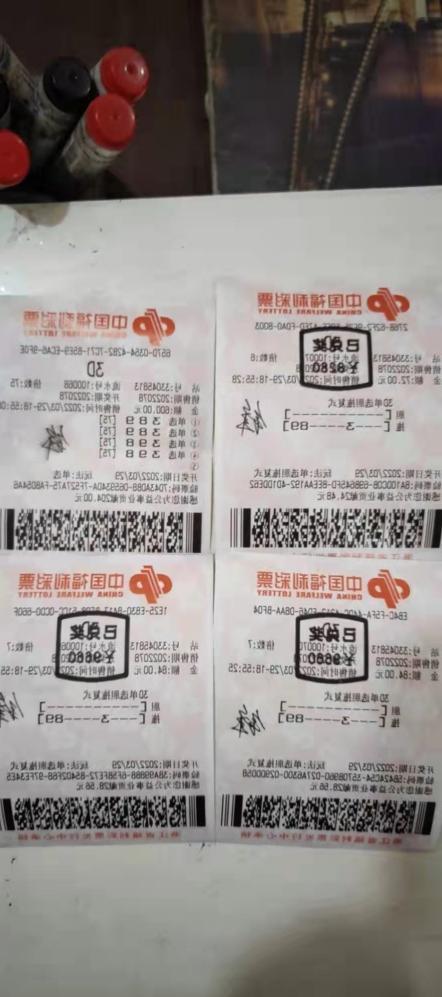 胆拖守号，智慧与运气的完美结合——揭秘彩票中奖的奥秘