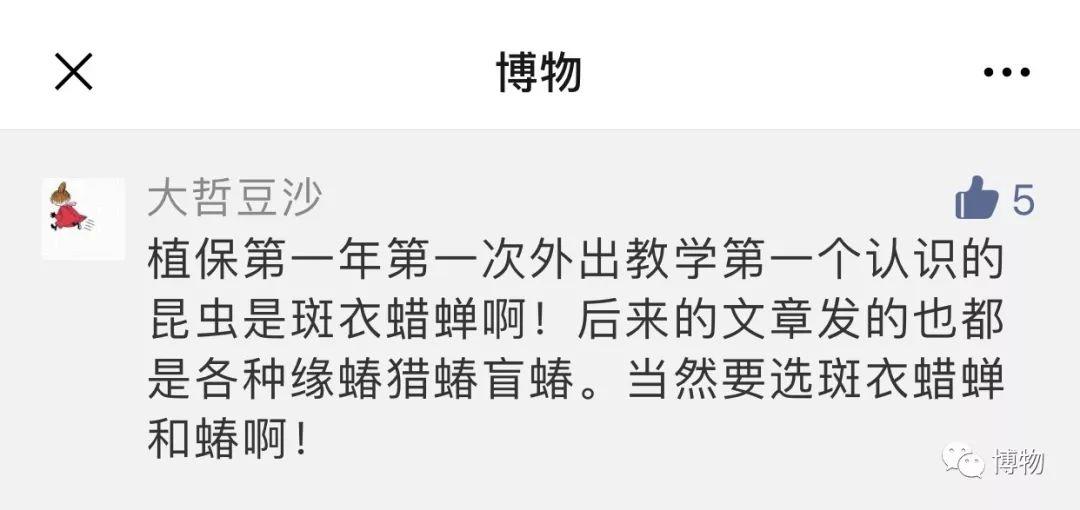 梦想照进现实