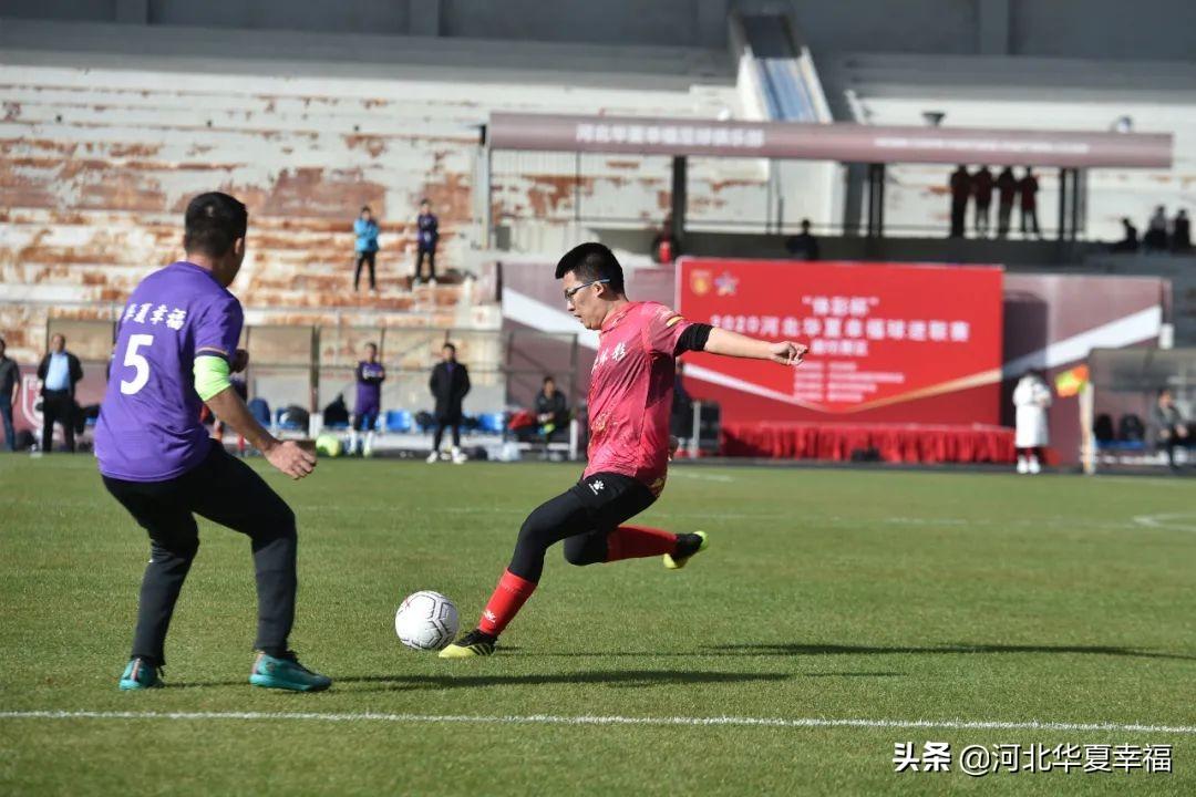 河北省体彩网，公益与梦想的交汇点