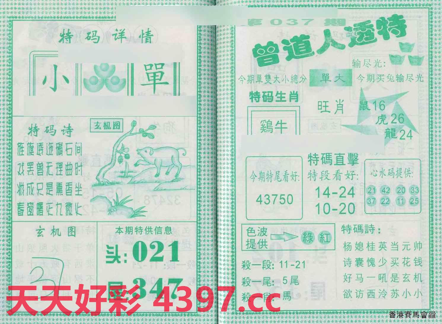 揭秘二四六天天玄机资料308，一场数字背后的奇幻之旅
