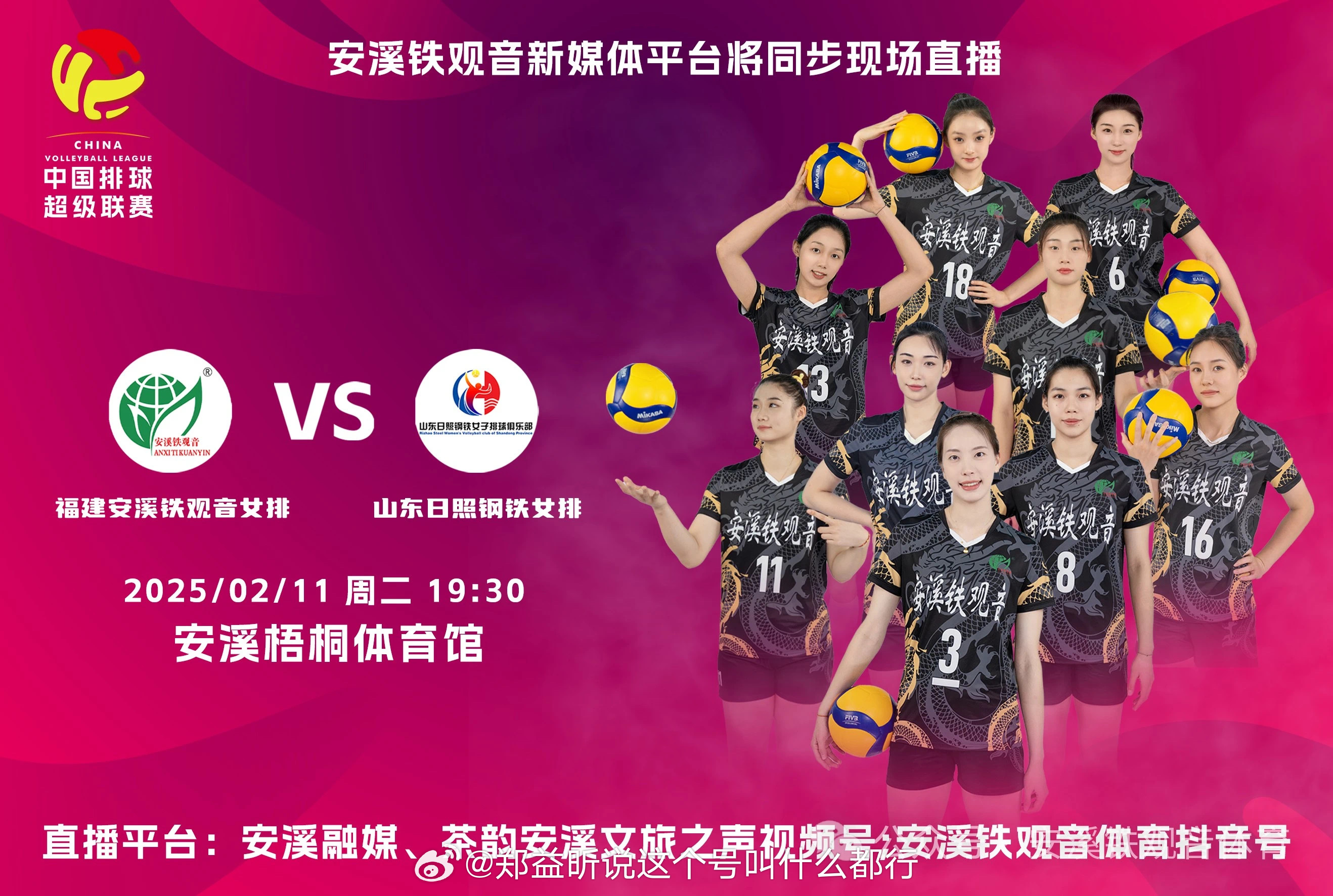 2024女排全锦赛，直播平台大揭秘与观赛指南