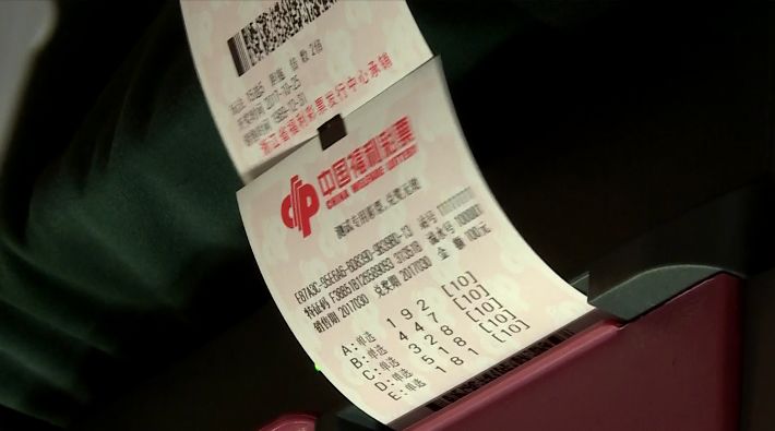 3D独胆王，解锁彩票预测的神秘之门