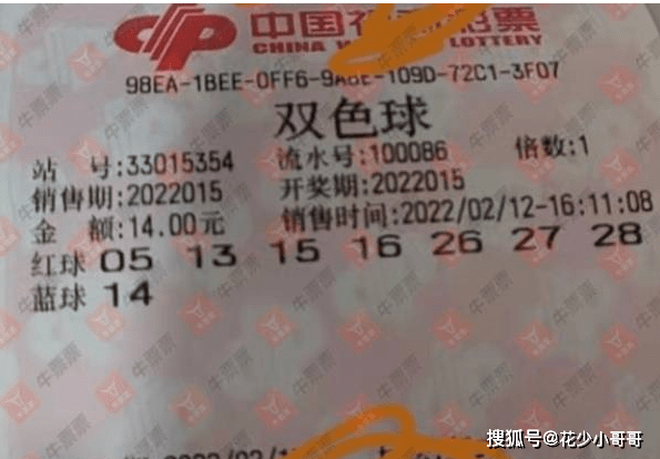 2024年双色球2024015期开奖号码揭晓，幸运与梦想的碰撞
