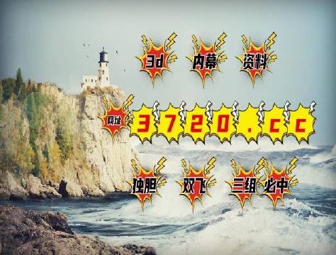 探索3D字谜论坛，7500的奥秘与魅力