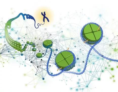 揭秘3D预测，理性与科学的边界