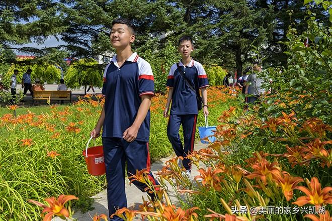 黑龙江快乐10分开奖结果，揭秘背后的故事与乐趣