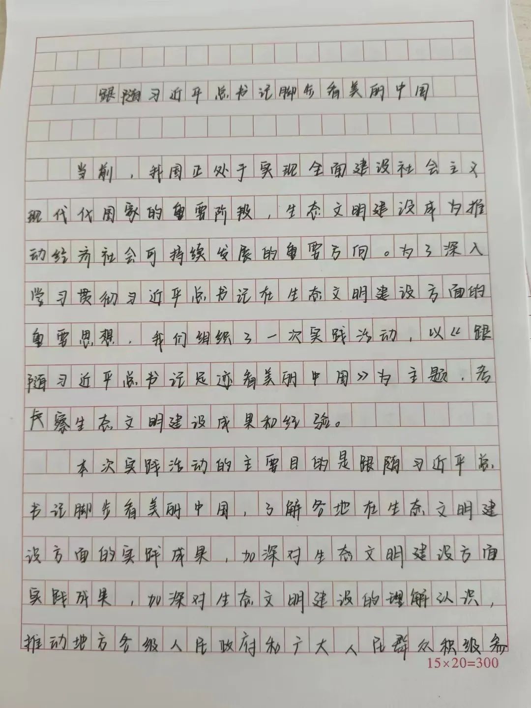 中华民族伟大复兴的征程与心得体会