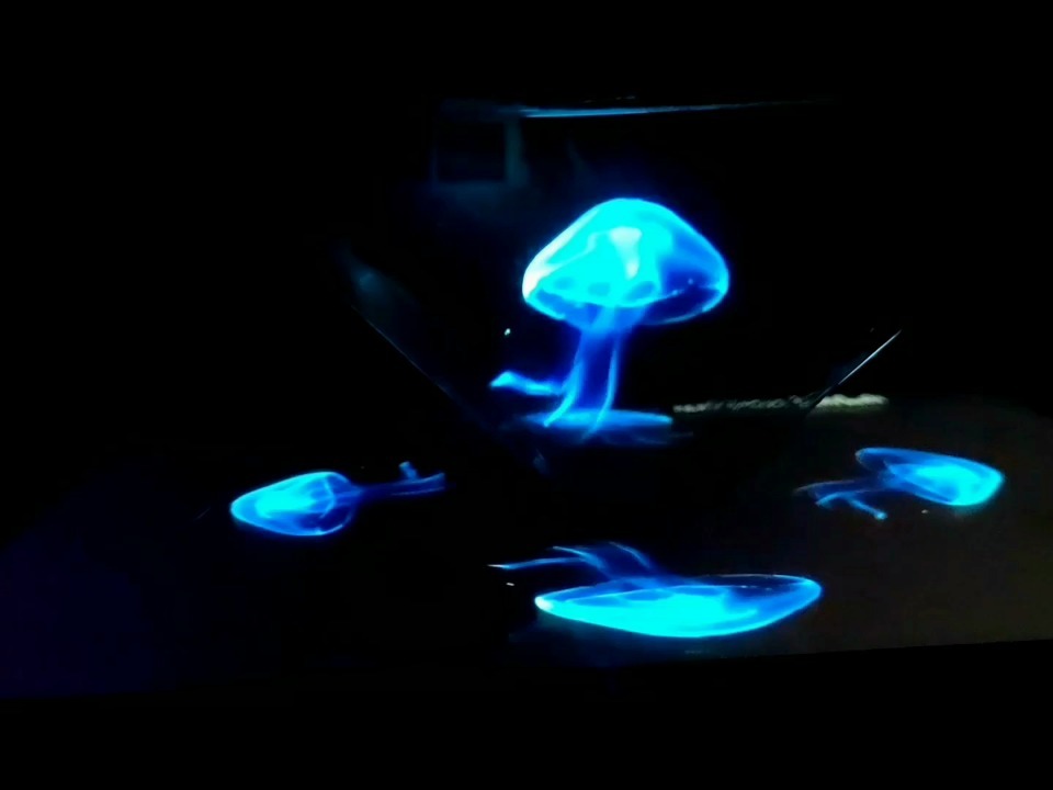 3D全息投影，水母的梦幻奇观