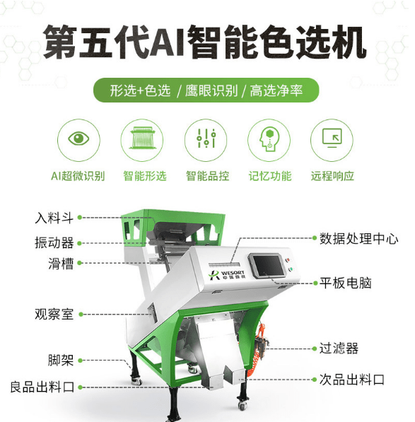 色彩精准，效率提升，色选机的多元化用途解析