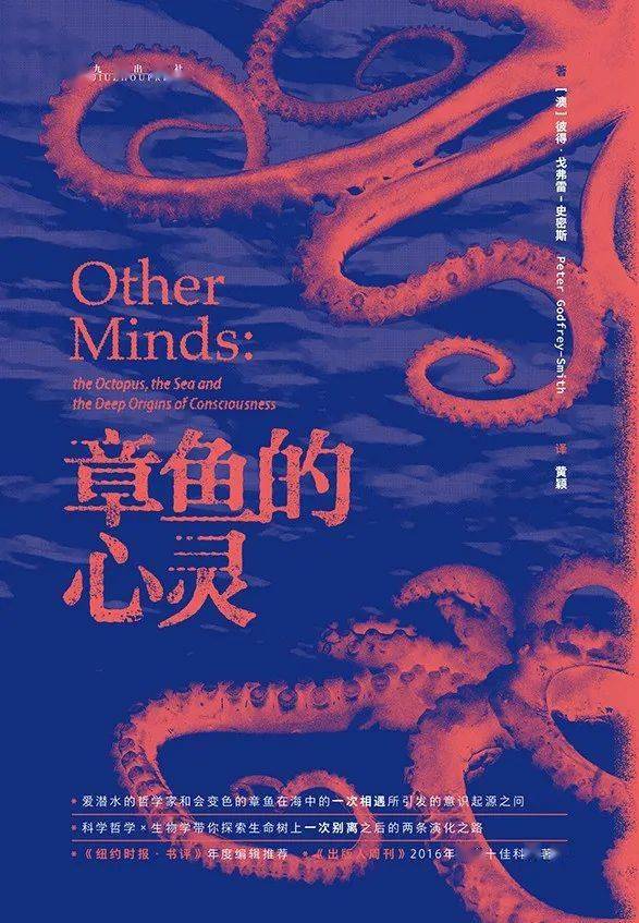 探索与发现
