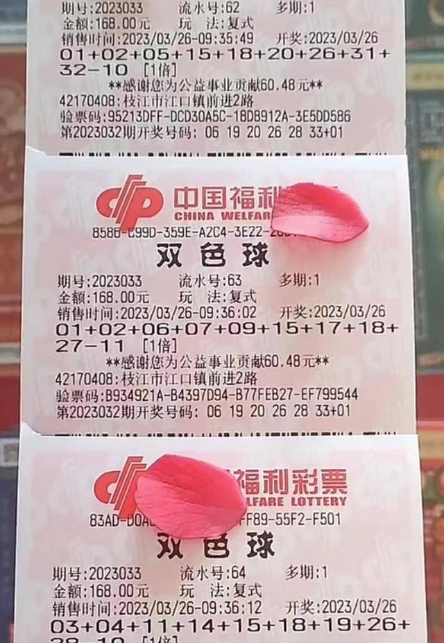 2035年澳门开奖结果查询，理性看待彩票，享受生活乐趣2025澳门开奖结果查询今晚