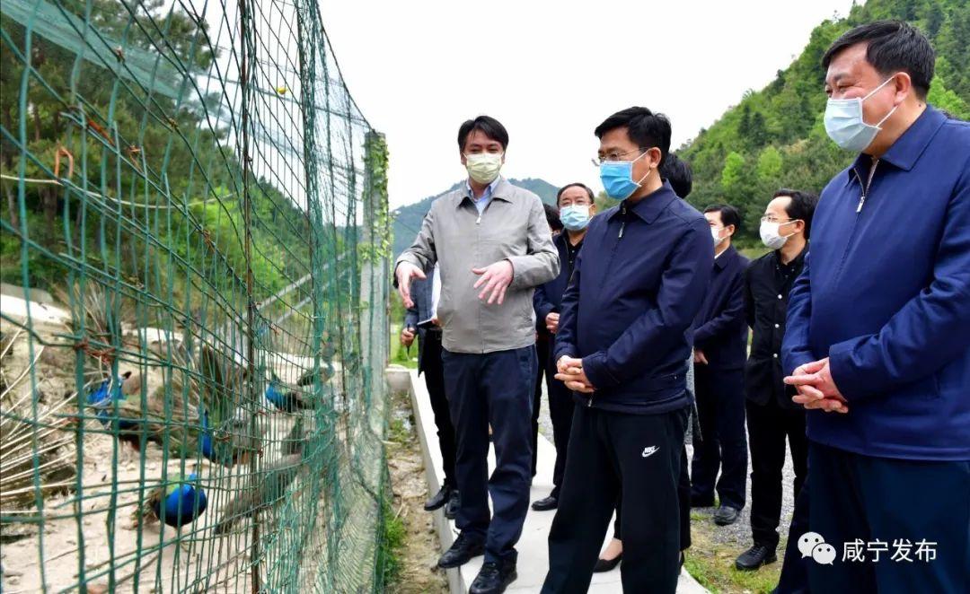 探索通山县政务网，数字化时代的政府服务新窗口通山县政务网官网人才引进公告