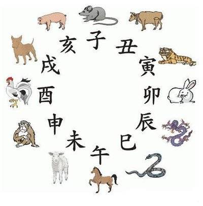 探索一码与生肖文化的奇妙融合，解码数字背后的文化密码一码一肖100准吗今晚一定中奖