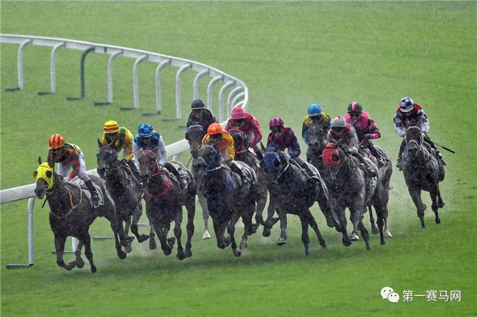 探索香港马会免费开奖资料，透明、公正与公益的完美结合