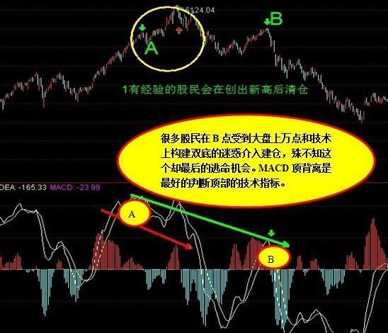 揭秘期四肖选一的奥秘与风险期期四肖选一肖4949