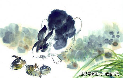 春满人间话生肖，兔年里的温柔与希望春满人间是什么生肖答案