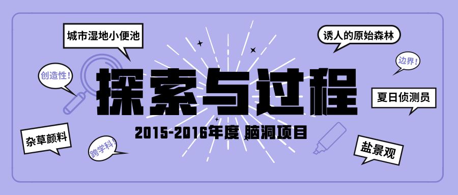 探索新澳2048管家婆资料第三期的奥秘与价值