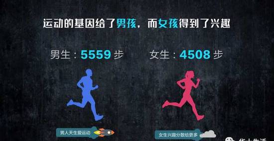 2036年澳门天天彩，数字背后的幸运与期待2023年澳门天天彩开奖记录查询方法