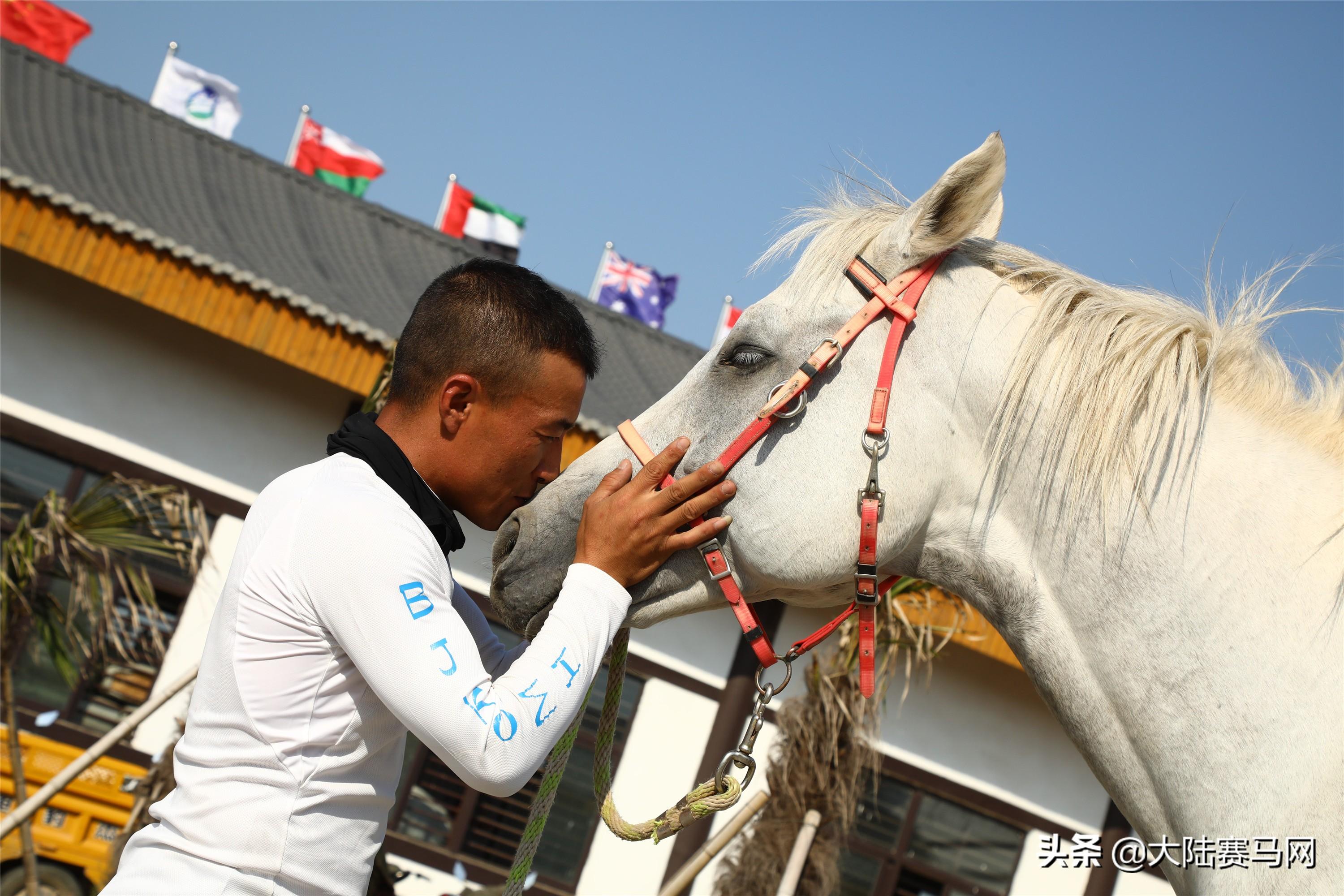 2019年马会正版，重塑香港赛马的辉煌与未来2019年马会正版生活幽默图片