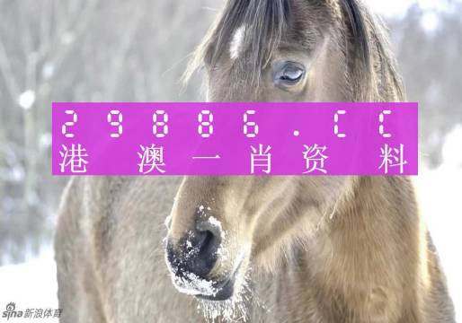 澳门一肖不中特，理性生活更精彩今天澳门一肖一码100%精准一