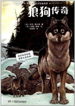 探索小狼狗高手论坛，网络文化的新兴阵地小狼狗高手论坛下载
