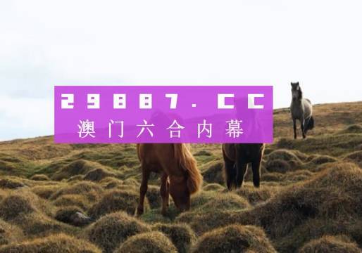 曾道正版资料免费大全，一肖的探索与启示曾道正版资料免费大全一肖一码港彩大众网