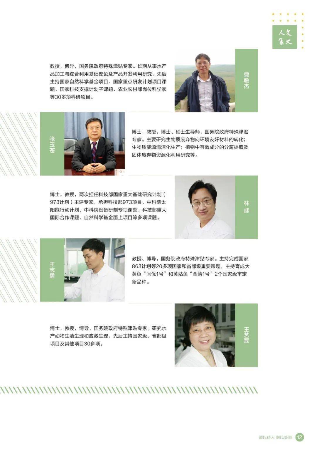 2036澳门资料大全，探索未来之城的全面指南2023澳门资料大全免费49图