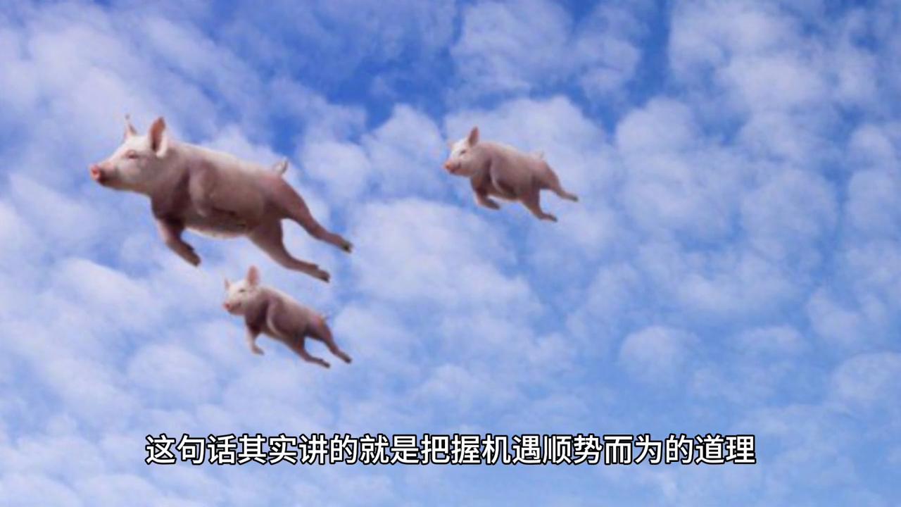 2043年，探索与回顾—揭秘香港历史开奖记录的数字之旅2024香港历史开奖记录查询结果(哔哩哔哩)639期