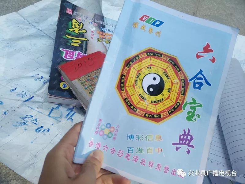 探索六合论坛，一个社区的温暖与力量6合宝典