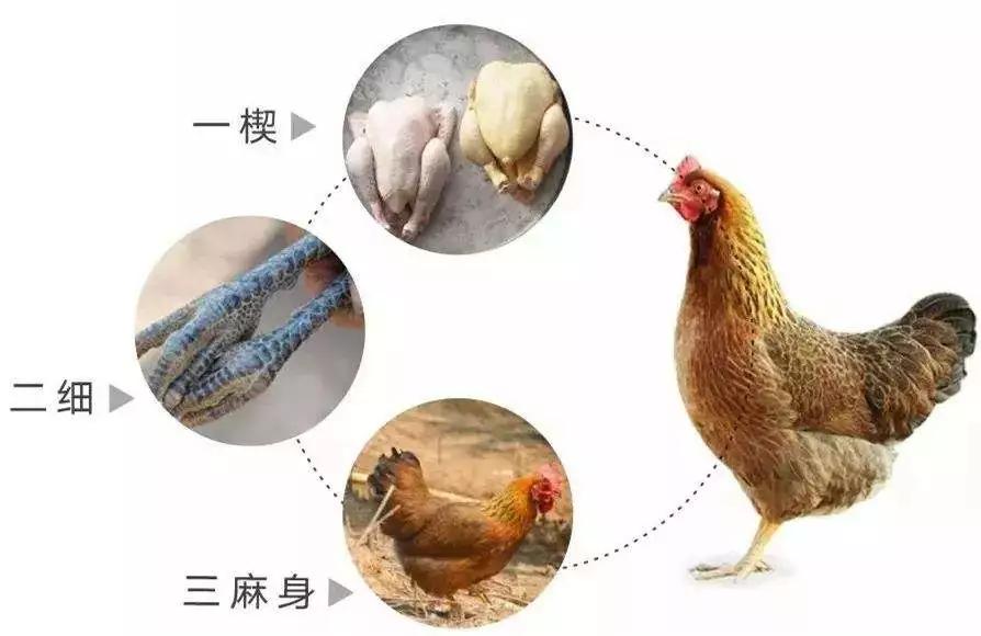 揭秘六合内部玄机，探寻传统智慧与现代智慧的交融118图库彩图免费大全