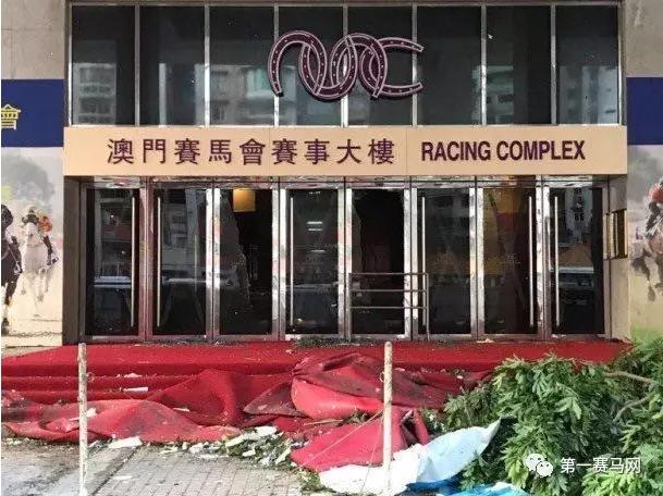 澳门马会传真内部绝密信封资料揭秘，一场关于智慧与策略的较量澳门马会传真内部绝密信封资料2021