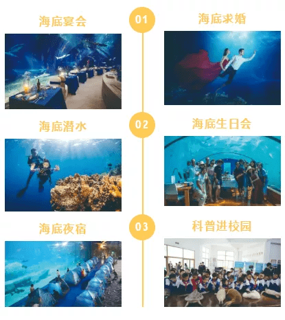 探索无限创意，49图库大全的魅力之旅49图库大全下载并安装