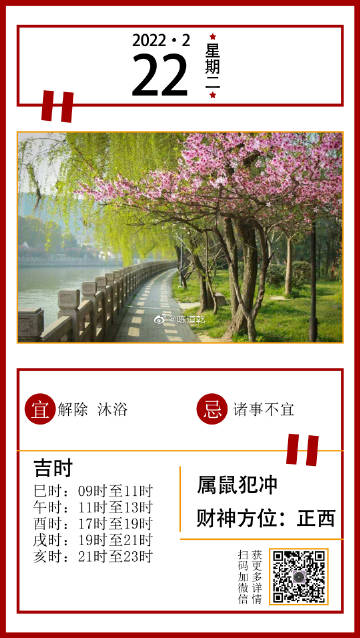 今晚精准一肖的神秘面纱，揭开数字与命运的交织今晚精准一肖一码第050