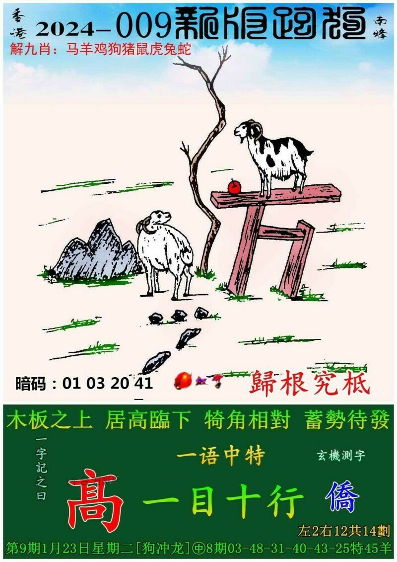 探索新跑狗高清彩图，一场视觉与智慧的盛宴新跑狗图+高清自动更新