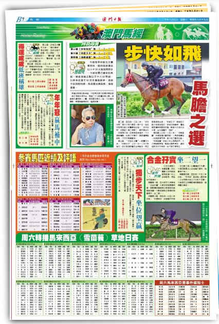 2048年新澳门王中王的传奇与未来2024年新澳门王中王资料滇
