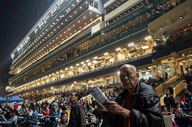 探索香港正版马会精选资料大全，揭秘赛马的智慧与魅力香港正版马会精选资料大全南方生肖有几个