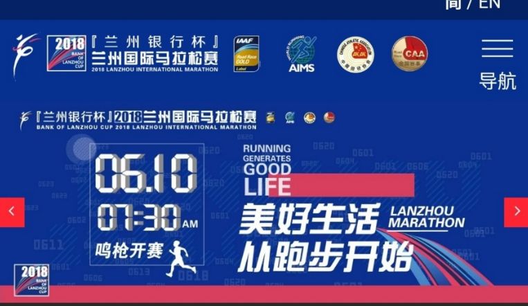 2019年香港马内部免费资料，揭秘赛前策略与选马的智慧
