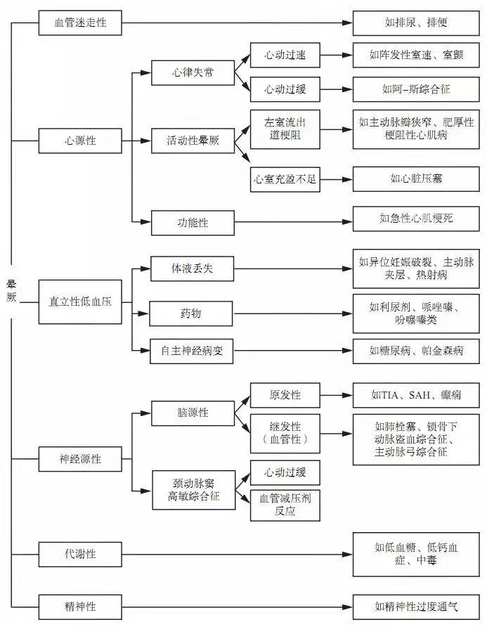 揭秘一肖三码，数字背后的神秘与误解一肖三码必出一肖