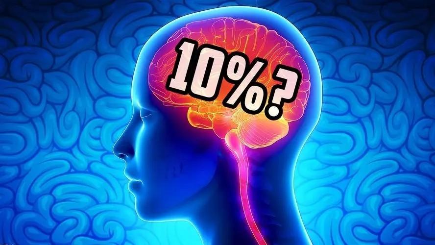 免费正版资料大全，解锁知识海洋的无限可能正版资料免费资料大全下载