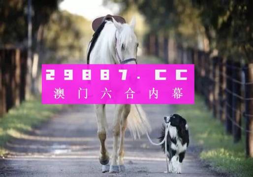探索49码资料图库，解锁数字时代的编码奥秘49码资料图库怎么下载的