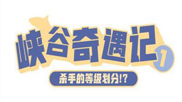 澳门一肖必中，今晚揭晓的幸运之谜，理性与娱乐并存的投注艺术？深度剖析预测背后的真相及建议策略澳门一肖一码必中一肖今晚(全网实时顶尖预测)