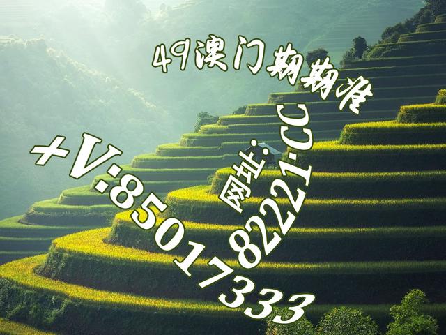 2 数字时代视觉盛宴