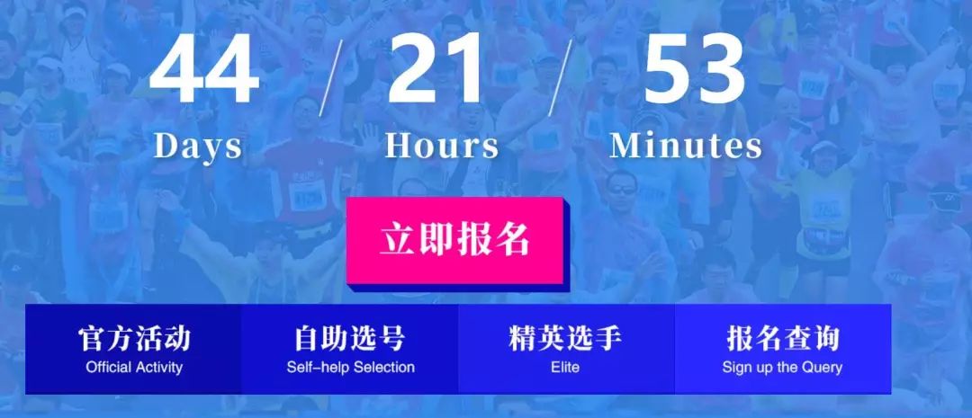 2019年香港马内部免费资料，揭秘赛前策略与选号技巧香港马资料大全2019
