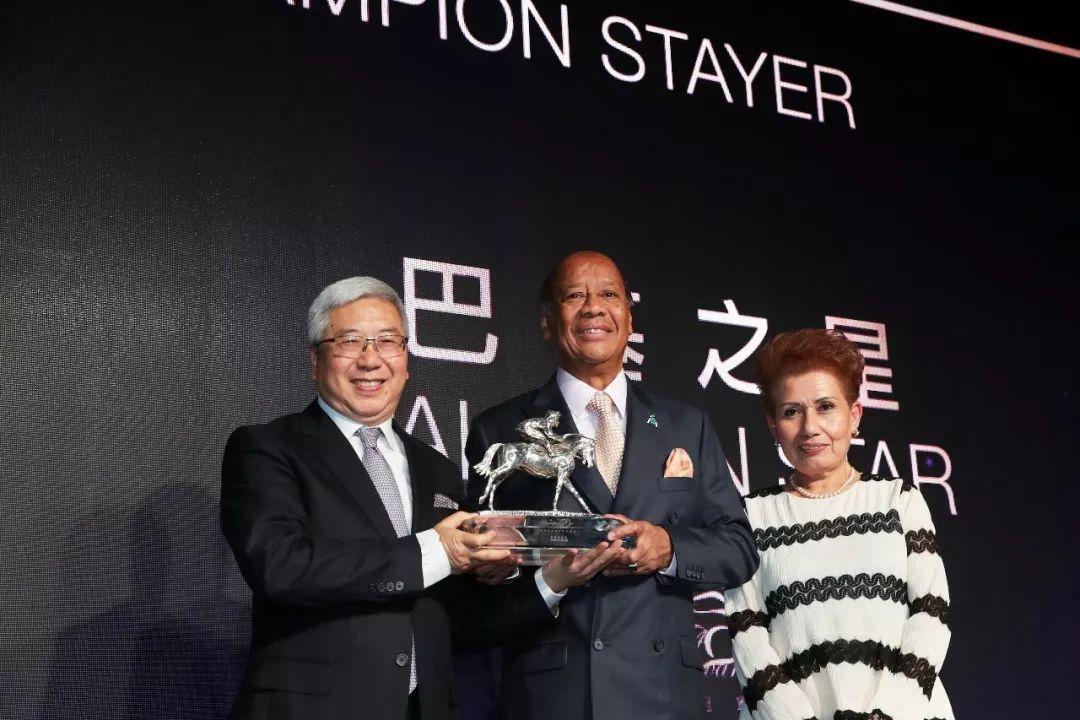 探索香港马会资料大全2019，传承与创新并进的赛事盛宴