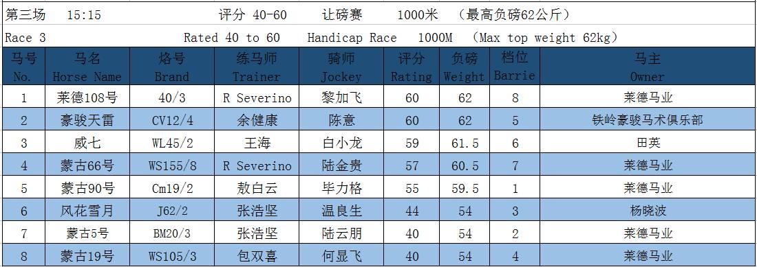 2019年马会全年资料回顾，精彩纷呈的赛事与数据二o一九年马会全年资料大全