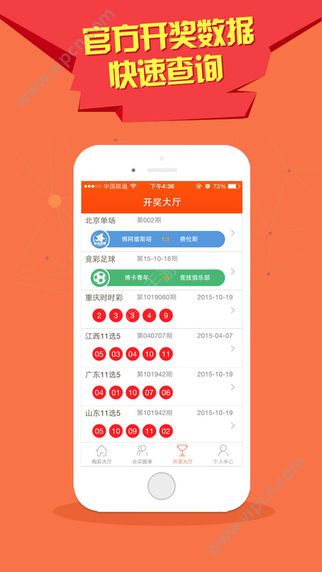 澳门天天开彩，204年好运连连的数字游戏2025年新澳门天天开好彩